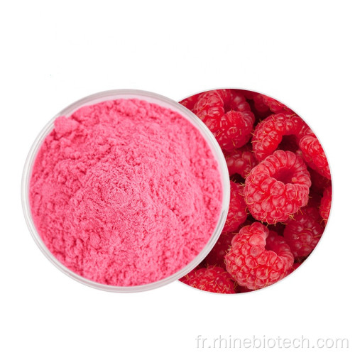 Poudre de fruits framboise sèche instantanée Prix de gros